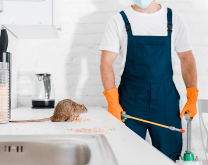RODENT REMOVAL