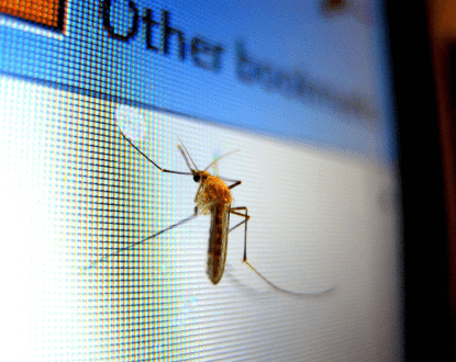 MOSQUITO CONTROL